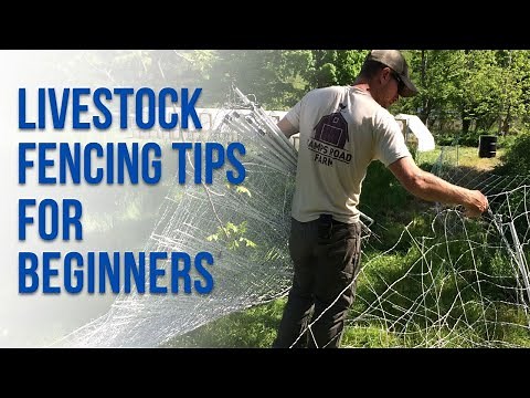 Fencing 101: A Beginner’s Guide to Livestock Fencing