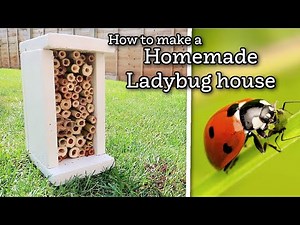 How to make a homemade ladybug house to help with garden pests and aphids in your garden