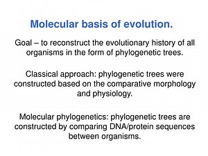 Molecular basis of evolution. - SlideServe