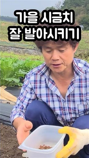 How to Grow Spinach So It Sproutes Well You Can Enjoy Delicious Spinach From Winter to Spring #Gr...