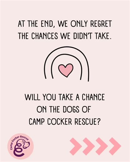 Camp Cocker Rescue on Reels