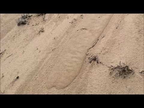 Grain flow in dry eolian sand
