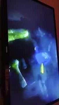 procurando nemo parte 30