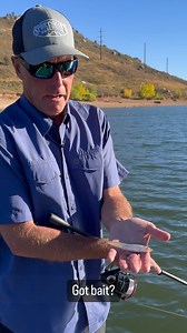 1.6K views · 48 reactions | Fishful Thinker on Reels | Facebook