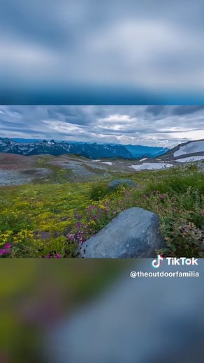 Unveiling the Skyline Trail: Mount Rainier's Hidden Gem Discover the breathtaking beauty of Skyline Trail in Mount Rainier National Park. Experience alpine meadows, stunning waterfalls, and panoramic views from Panorama Point that highlight the region's natural wonders. Join us for an unforgettable hiking adventure through nature's masterpiece! #SkylineTrail #MountRainier #HikingAdventure #NatureLovers #ParadiseRegion #PanoramaPoint #Wildflowers #OutdoorExploration #BreathtakingViews #TrailTales