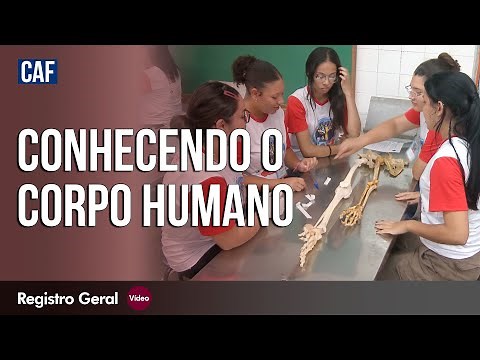A anatomia que ensina a entender os limites do corpo humano