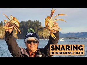 Snaring Dungeness Crab Along the Washington Coast