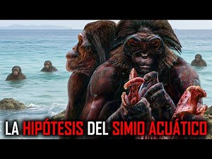 La Hipótesis del Simio Acuático es Realmente una Locura!