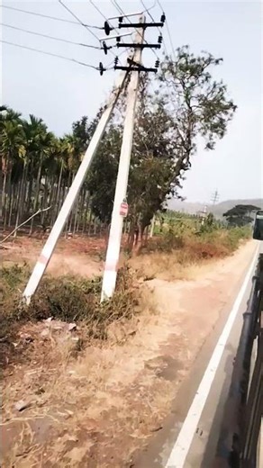 💚💚💚💚💚💚💚💚💚