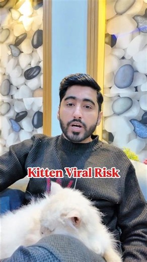 Why Do Kittens Get Viral Infections More Often..