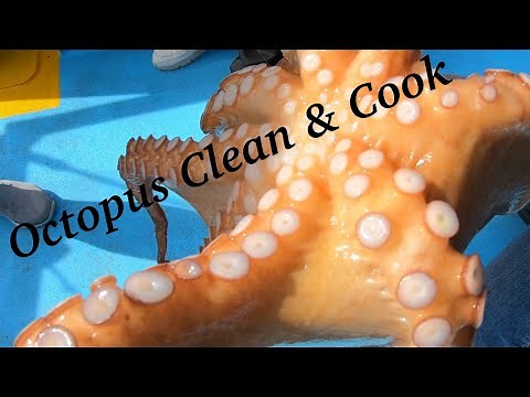 Octopus Clean and Cook using an Instant Pot - DELICIOUS!