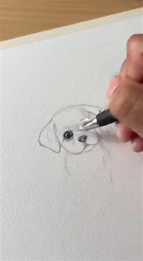 A hand drawing a detailed puppy looking up, and when it’s done, the puppy wags its tail. | Habit Sketch