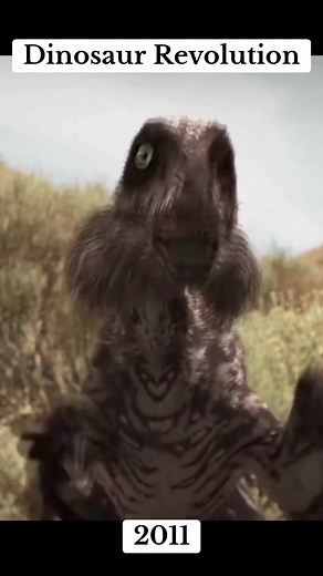 Utahraptor Evolution (Live Action & Cartoons) #utahraptor #utah ##velociraptor #raptor #raptors #dromeaosauridae #jurassicpark #jurassicworld #dinosaurs #dinosaur #dinosaurio #dinosaurios #prehistoric #prehistoria #fossil #fósiles #paleontology #paleontologia #evolution #bird