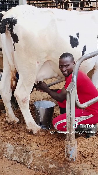 Exploring Dairy Farming and Farming Life | Farmers of TikTok