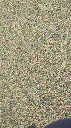 Monroe County Democratic Party on Reels