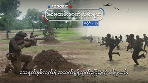 RFA Burmese on Reels