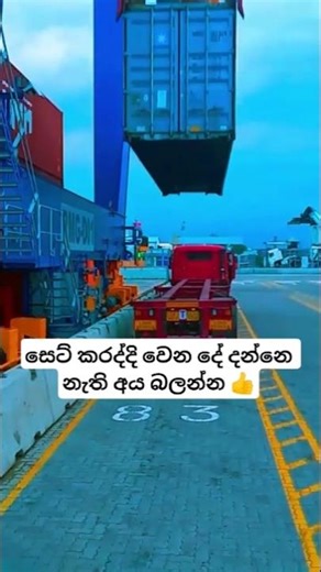 👍 දැකල නැත්නම් #travel #automobile #tour #bus #busrace #music #trending #driving #shortsfeed #shorts
