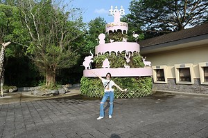 Taipei Zoo - A Guide to Exploring Asia's Finest Zoo