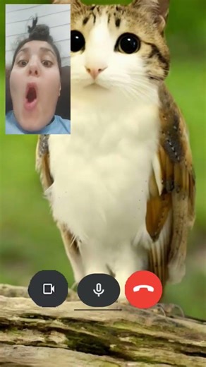 Like I'm trying to play games 🤣🎮🤣🎮