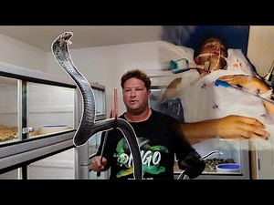 Worlds Most Dangerous COBRA! My Snake Almost Killed DINGO!
