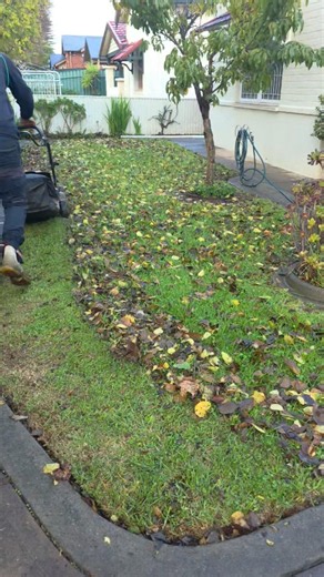 Another leaf cleanup session where the lawn mower does all the heavy lifting! 🍂🚜
