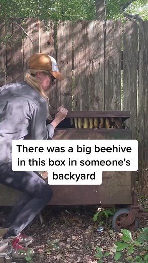 2.1M views · 108K reactions | And it was another great day of saving the bees! #bees #beekeeper #texasbeeworks #savingthebees | Texas Beeworks | Facebook