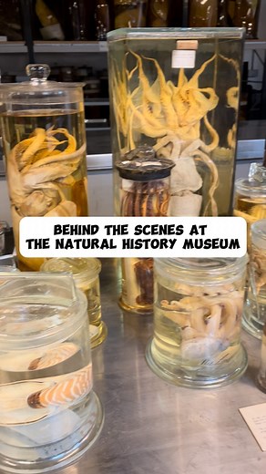 76K views · 415 reactions | This London tour is not for the...