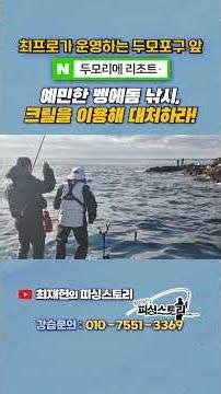 How to handle finicky opaleye fishing using krill