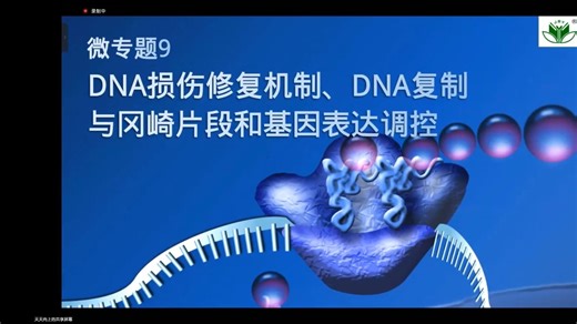 【2026新高考生物一轮复习】微专题9DNA损伤修复机制、冈崎片段、基因表达调控 高中生物创新设计高考总复习全国通用高三复习网课新人教版必修一二选择性必修一二三