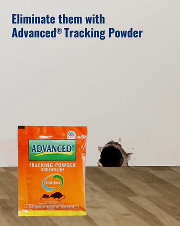 When rats roam around the house, they won’t stop…until you stop them from doing so. Get rid of them with Advanced® Tracking Powder, the most versatile way of eliminating rats and mice. Lazada: https://tinyurl.com/t7smtnwk Shopee: https://tinyurl.com/2mp45jpr #GetTheAdvancedProtection #RatKiller #MaySolusyonSaDaga #DagaNoMore | Advanced Aerosol