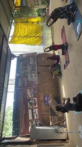 Live highlight#shorts #yoga