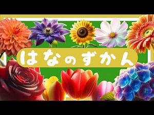 【花の名前】図鑑-０歳から３歳向け（３３種類）