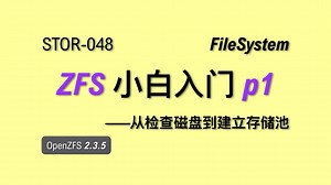 【老湿基】ZFS 小白入门 P1: 深入理解 ZFS 阵列原理