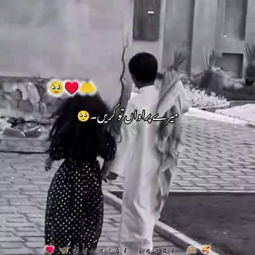 Understanding Saraiki Culture and Community