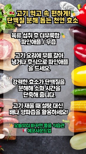 🥩 고기 먹고 속 편하게! 단백질 분해 돕는 천연 효소 🍍