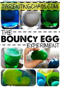 Bouncy Egg Science Experiment for Kids