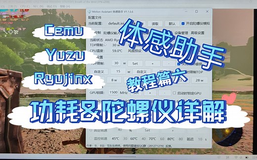 【体感助手】教程篇六 Cemu/Yuzu/Ryujinx模拟器功耗&陀螺仪全面解析！
