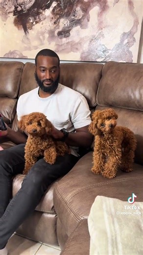The dog 🐶 is like what did you just say?