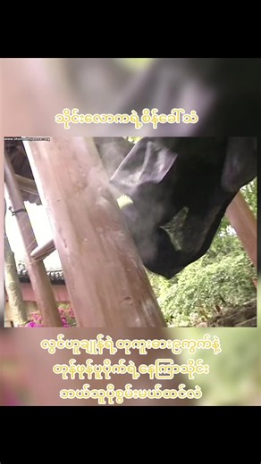 သိုင်းလောကရဲ့စိန်ခေါ်သံ: လွင်ဟူချုန်၏ တုကူးဓား