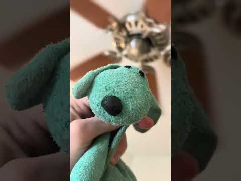 Hunter summer breeze ceiling fan (1 of 2) (Feat: Diddley)