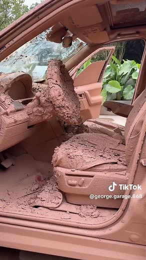 Ultimate Car Washing Tips for a Spotless Shine