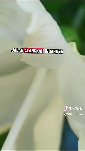 #bungaditepijalan #sonymusicentertainment #erwingutawaorcestra #dutasheilaon7 #koesplus