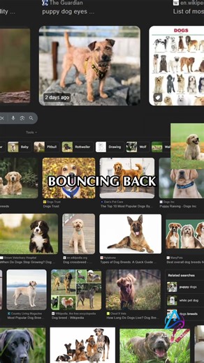 PureRef: Your FREE Secret Weapon for Art Reference! #shorts