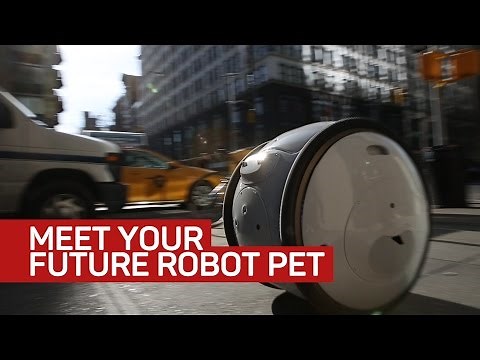 Gita the robot followed me around New York to carry my stuff