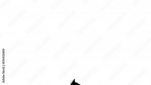 Page transition that is split in half. Two versions from bottom to top and vice versa. Alpha channel, transparent background, green screen effect.