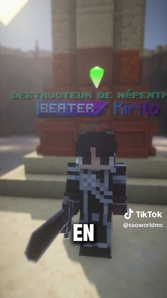 Deviens le beater le plus respecté sur SAO !
