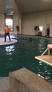 34K views · 841 reactions | A wonderful day for a swim! Please click the HD button on the bottom right of the video for the best viewing quality | RUNHAPPY | Facebook