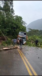 62K views · 277 reactions | #Pasco DESLIZAMIENTO IMPACTA BUS DE MÓVIL BUS. Un bus de la empresa MOVIL BUS sufrió un accidente en el sector de Mesapata cerca a Oxapampa, debido a un deslizamiento de lodo y piedra y la caída de un árbol en la parabrisas del bus. No sé reportaron personas heridas, solo daños materiales. Las lluvias son constantes en toda la selva central y el mal estado de la carretera promueven accidentes. | Diario Ahora - Amazonas y Jaen | Facebook