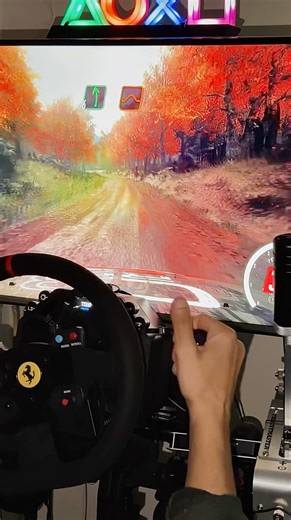Can you keep it on the road? 😮‍💨 #dirtrally2 #simracing #ps5 #thrustmaster