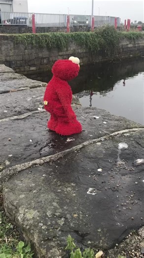 Elmo's Emotional Cigarette Experience